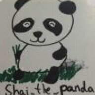 shai the panda