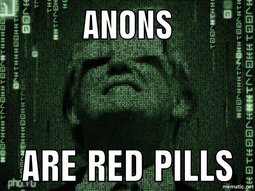 anon pills.jpg