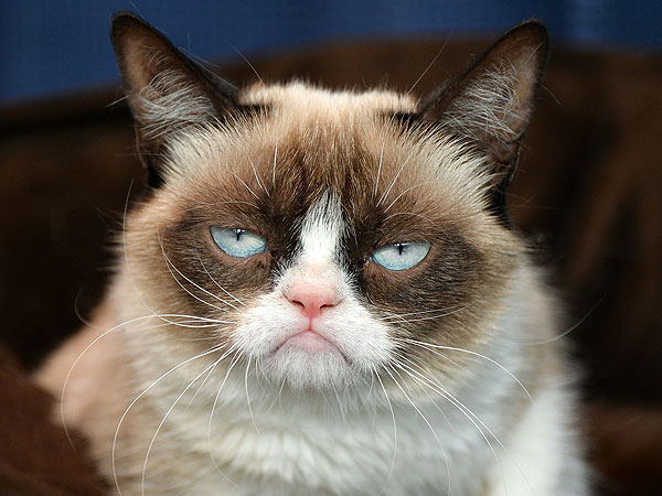 grumpy-cat-600x450.jpg