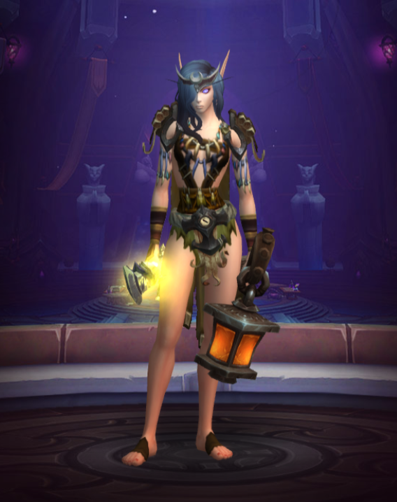 WoW TBC Hunter Night Elf Level 70 for Europe Server - Zandalar Tribe