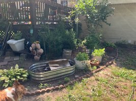IMG_6610.jpeg