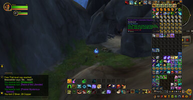 WoWScrnShot_080425_130106.jpg