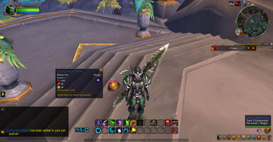 WoWScrnShot_081525_113012.jpg
