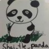 shai the panda