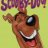 Scoobydrood