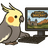 Kokos