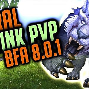 Level 70 Twink Feral Druid Gameplay