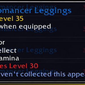 Necromancer Leggings +5